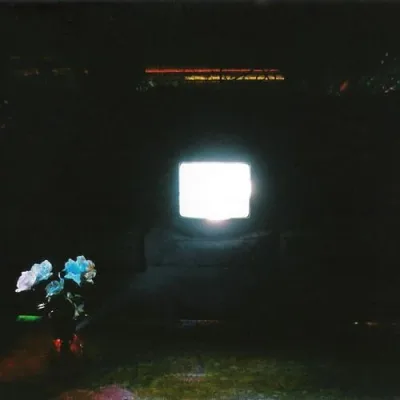 Does It Look Like I'm Here? - 바이닐 LP