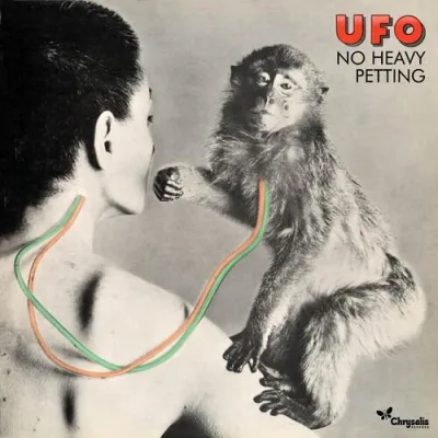 No Heavy Petting - Deluxe Edition - 2023 Remaster - Deluxe Edition Vinyl LP