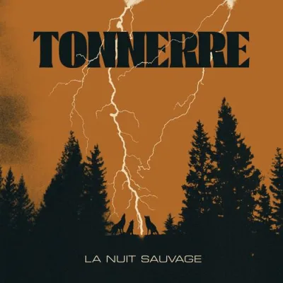 La Nuit Sauvage - Vinilo LP