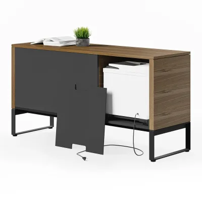 BDI Linea 6220 Multifunktionsschrank (Natural Walnut)