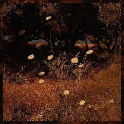 Earth Patterns - Vinyl LP