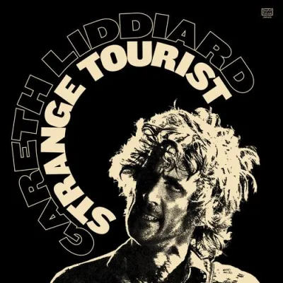 Strange Tourist - 바이닐 LP